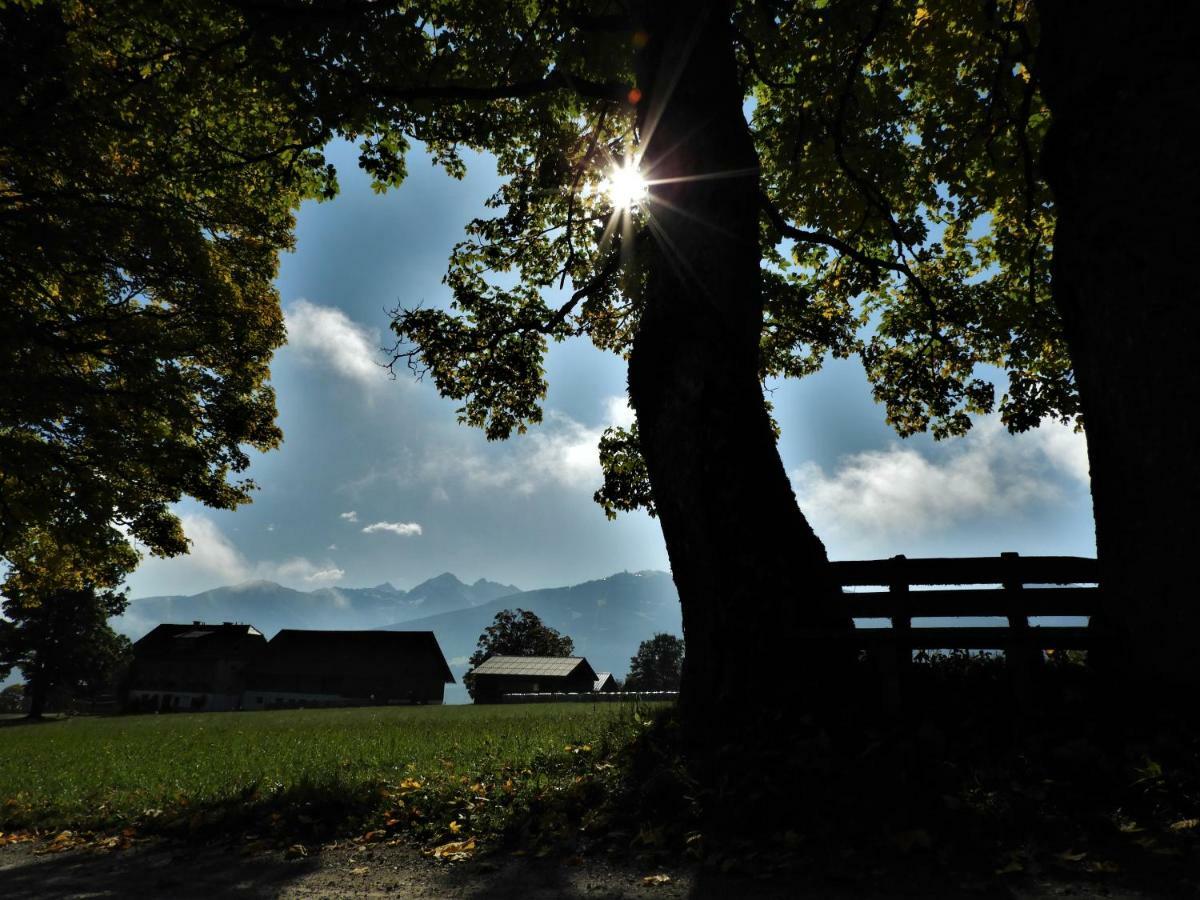 Apartament Eggerhof Ramsau am Dachstein Zewnętrze zdjęcie