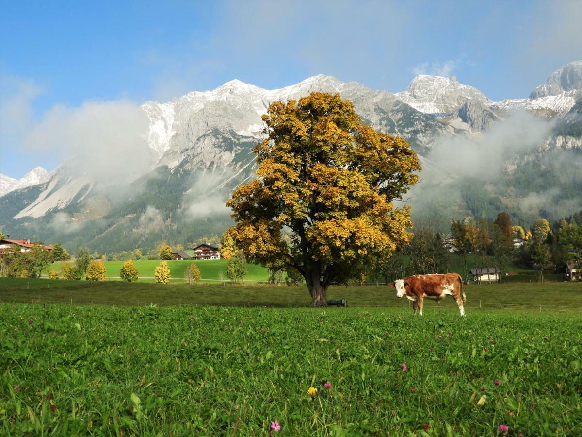 Apartament Eggerhof Ramsau am Dachstein Zewnętrze zdjęcie
